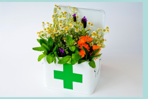 een ehbo-kistje gevuld met planten