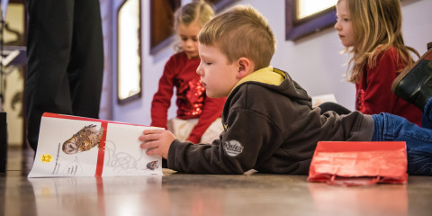 Een jongen bekijkt een papieren brochure in het museum