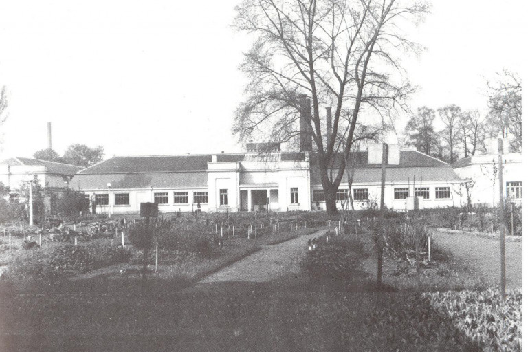De plantentuin van het Schoolmuseum in het Berouw