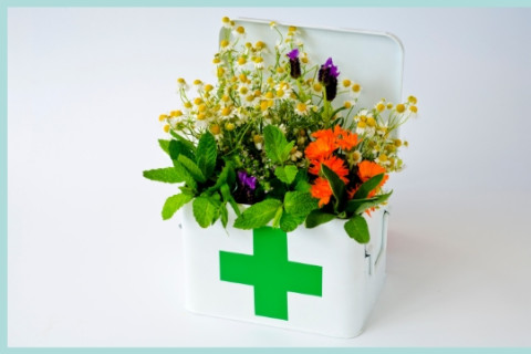 Een wit ehbo-doosje met planten er in